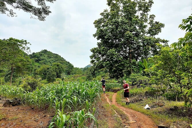 1 Day Ha Giang Loop Tour by Motorbike with Easy Rider - Loopers - What the easy rider setup is really like
