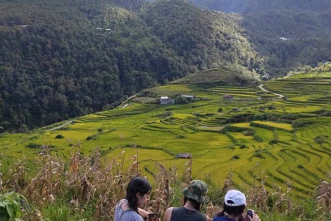 1 Day Sapa Authentic Trekking ( off beaten track ) - What the private format adds at $39