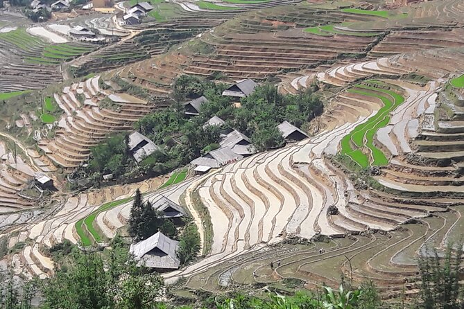 1 Day Sapa Authentic Trekking ( off beaten track ) - The guiding style and local contact