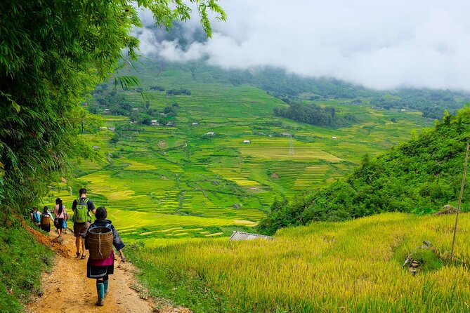 1 Day Sapa Authentic Trekking ( off beaten track ) - Suoi Ho to Giang Cha, with valley views