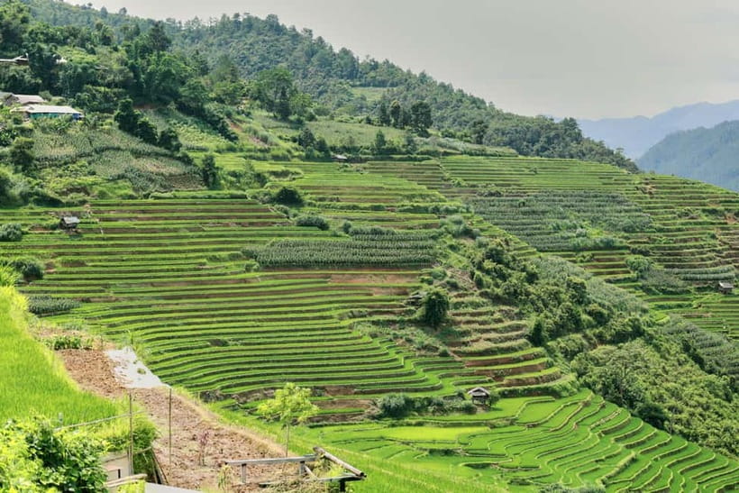 1-Day Sapa Long Trek - Rice Field Terrace, Ethnic Culture - What the guide adds to the day