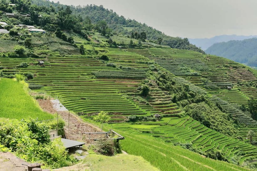1-Day Sapa Long Trek - Rice Field Terrace, Ethnic Culture - Price, group size, and what you receive