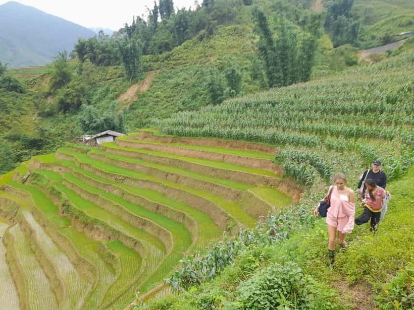2-Day Sa Pa Ethnic Homestay Tour & Trek with Limousine Bus - Day one: Lao Chai, rice terraces, and Ta Van