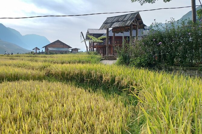2-Day Sapa Guided Tour Slipping in Homestay From Hanoi - Why this Sapa tour works from Hanoi