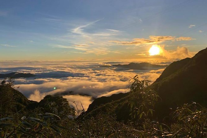 2 Days Fansipan Trekking - Starting at Tram Ton Pass