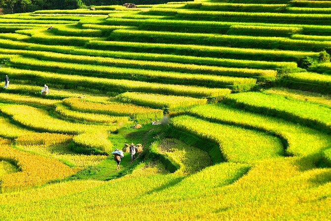 2 Days Pu Luong Offbeat Trekking Best for Mountain Lovers - Bamboo rafting at Chieu Lau dam