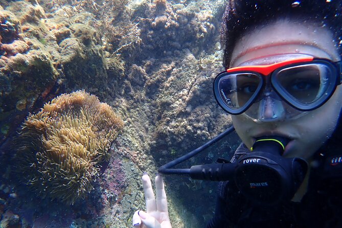 2 Fun Dives for certified Divers - Is $88 a fair price?