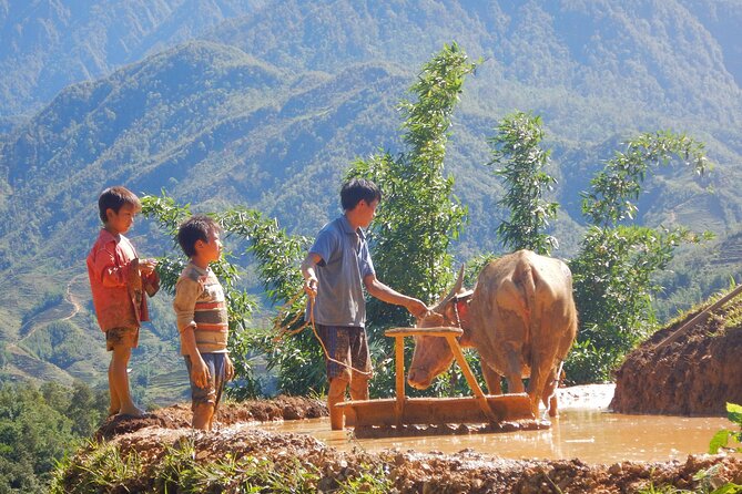 2D1N Buffalo trek by Hmong Sister House and Trekking - Hau Thao village and the first climb