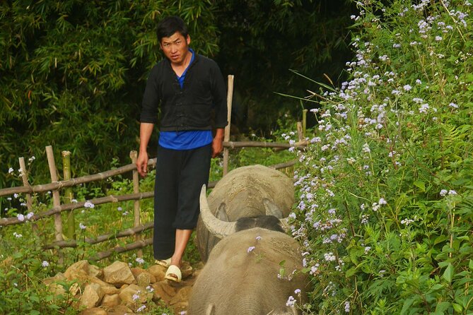 2D1N Buffalo trek by Hmong Sister House and Trekking - What the $110 price gives you