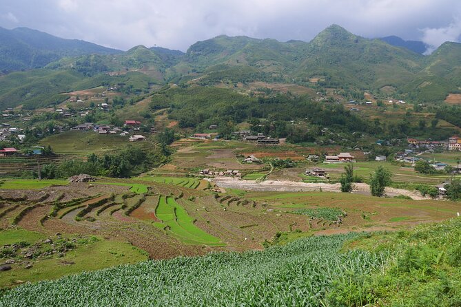 2D1N Buffalo trek by Hmong Sister House and Trekking - Final call: a worthwhile Sapa overnight