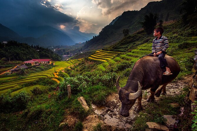 2D1N Buffalo trek by Hmong Sister House and Trekking - Lunch on the trail and the move toward the buffalo house