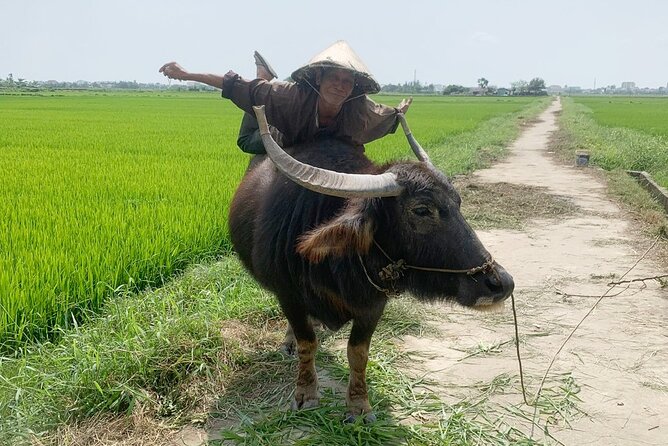 3 Hours Hoi An Countryside Bicycle Tour - Rice fields, Cam Chau, and a Vietnamese coffee break
