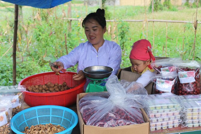 6 - 8 Day Vietnam Itinerary | Magnificent | Best 2026 Northern - Sapa begins with rice terraces and village paths