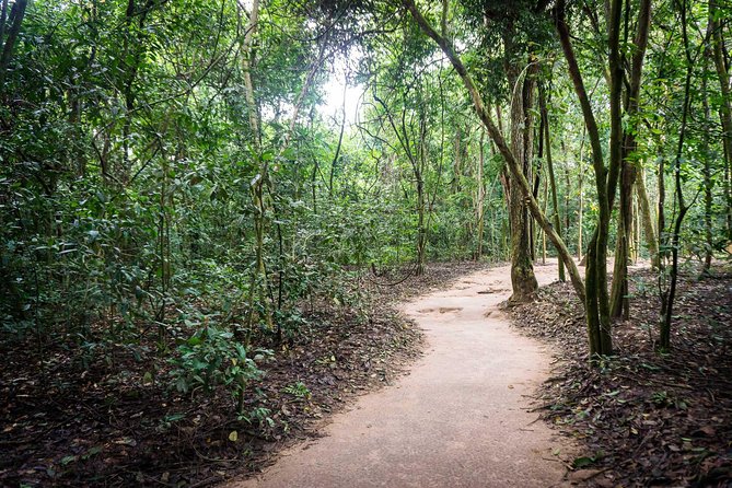 Afternoon Cu Chi Tunnels - Small Group Half-Day Tour - The introductory film at Ben Dinh