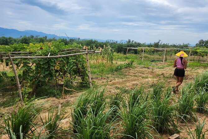 ATV Quad Bike Hoi An Adventure & BBQ Feast - Leaving Hoi An for the My Son Valley countryside