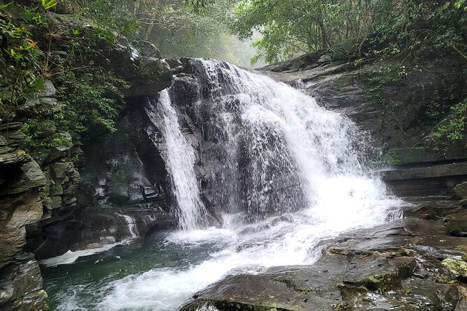 Bach Ma National Park trekking deluxe daily tour from Hue - Guides can shape the entire day