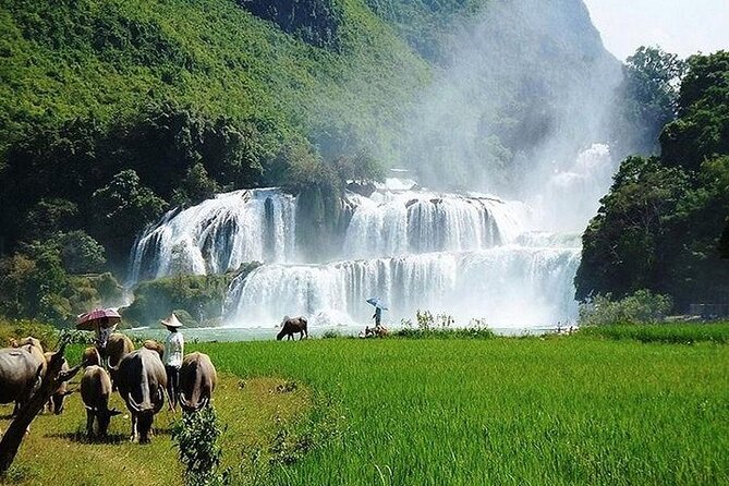 Ban Gioc Waterfall 2 Days 1 Night From Hanoi - What the transport and meals really mean