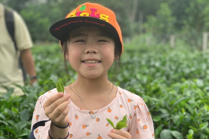 Bavi Eco Tour: Immerse in Authentic Village Life Outside Hanoi - Cycling beside the paddy fields