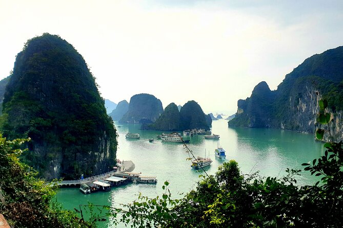 Best seller Halong bay 6 hours cruise - Luon Cave by kayak or bamboo boat