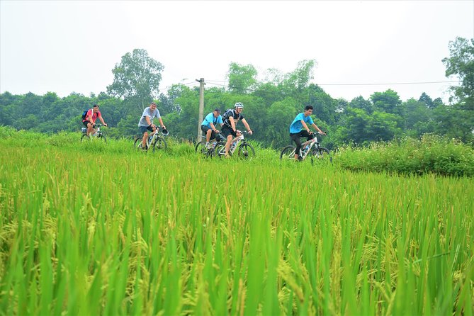 Bicycle Tours Hanoi: Full Day Bicycle Tour Hanoi Countryside - Meeting a bonsai-growing family in Lai Da