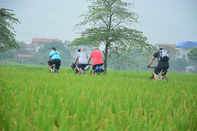 Bicycle Tours Hanoi: Full Day Bicycle Tour Hanoi Countryside - Co Loa Citadel and the ancient northern capital
