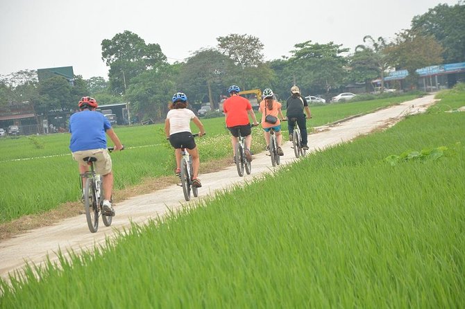 Bicycle Tours Hanoi: Full Day Bicycle Tour Hanoi Countryside - Wet-market fruit and a drink beside Lotus Lake