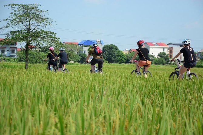 Bicycle Tours Hanoi: Full Day Bicycle Tours City & Countryside - Huu Tiep Lake and the downed B-52