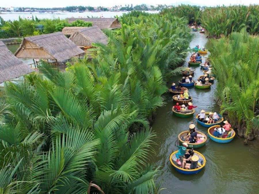 BUFFALO RIDING -BASKET BOAT & BIKE TOUR-HOI AN - Timing, weather, and what to bring