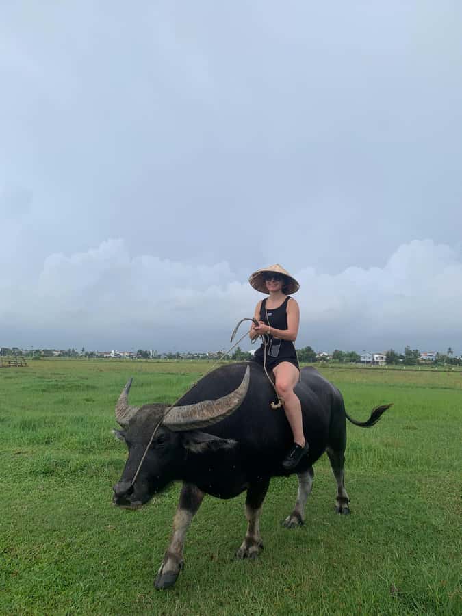 BUFFALO RIDING -BASKET BOAT & BIKE TOUR-HOI AN - Guides and the value of a small group