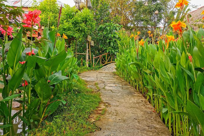 Cai Be Village - One-Day Mekong Delta Adventure - Biking after lunch, if you want more activity