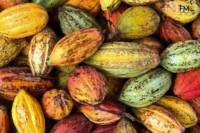 Cai Rang floating market, Cacao & hidden small canal - Muoi Cuong Cocoa Farm and handmade chocolate