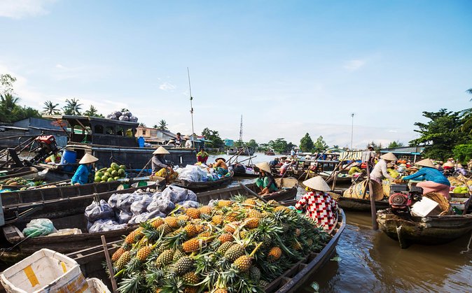 Cai Rang Floating Market & Mekong Delta Private 1-Day Tour - From Can Tho to My Tho, two different Mekong views