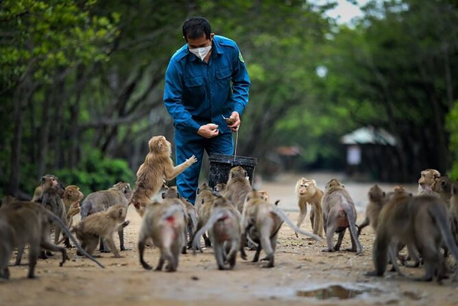 Cần Giờ Eco-Tour with Monkeys, Crocs & War History - Crossing the Bình Khánh Ferry