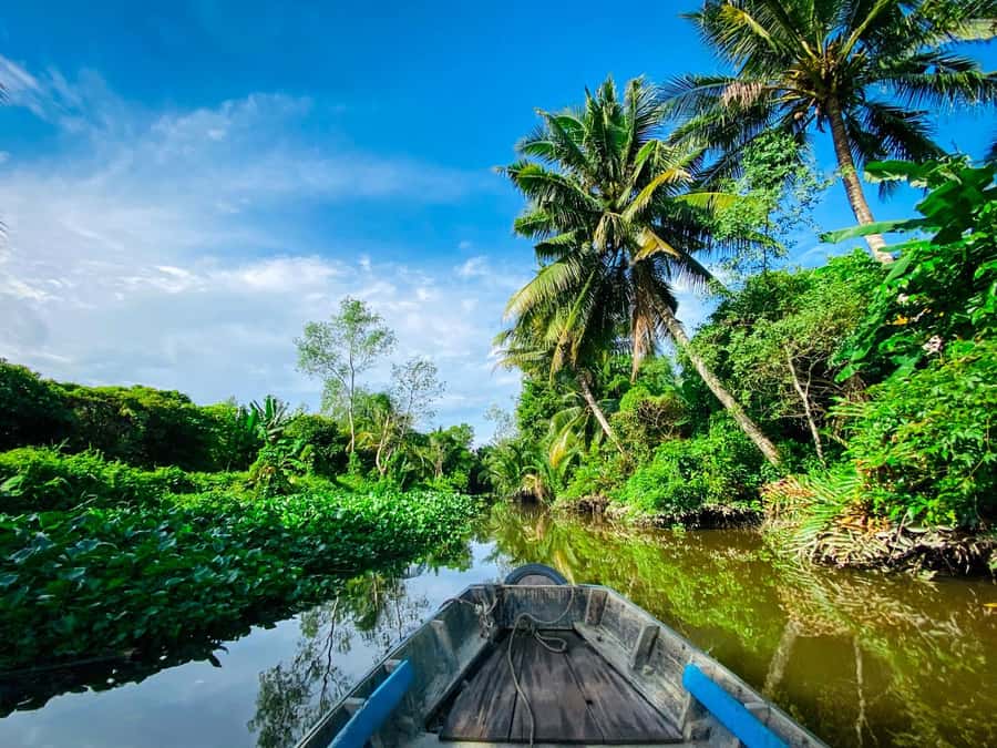 Can Tho: A Real Mekong Tour, Floating Market, Cacao & Life's - Turning Into Can Tho’s Small Canals