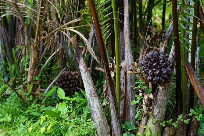 Can Tho Floating Market and Fruit Garden Tour - A quieter hour in the fruit garden