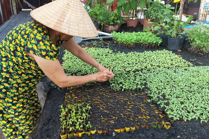 Can Tho: Floating Market, Canals, Nature Reserve & Forest - Why this Can Tho morning works
