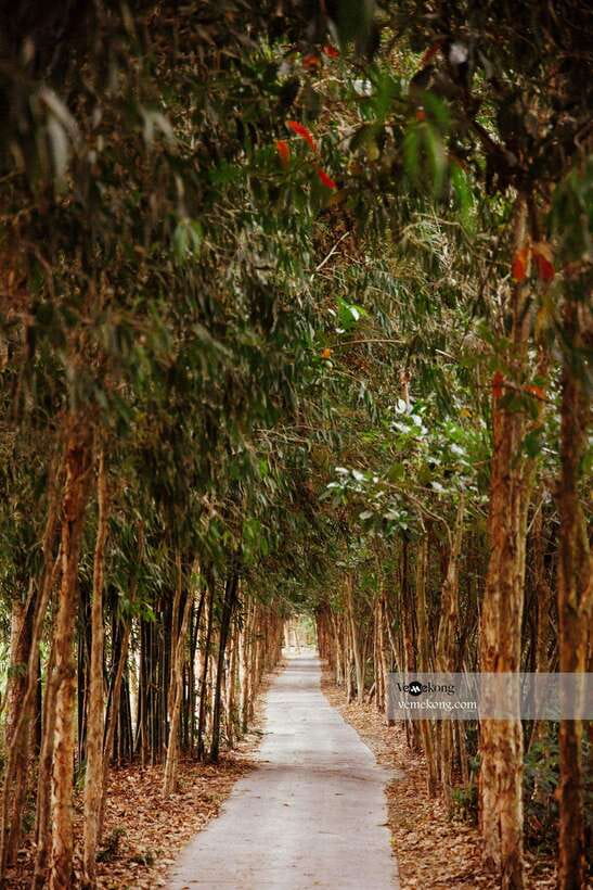 Can Tho: Lung Ngoc Hoang Nature Reserve & Forest Tour - A boat ride through the flooded forest