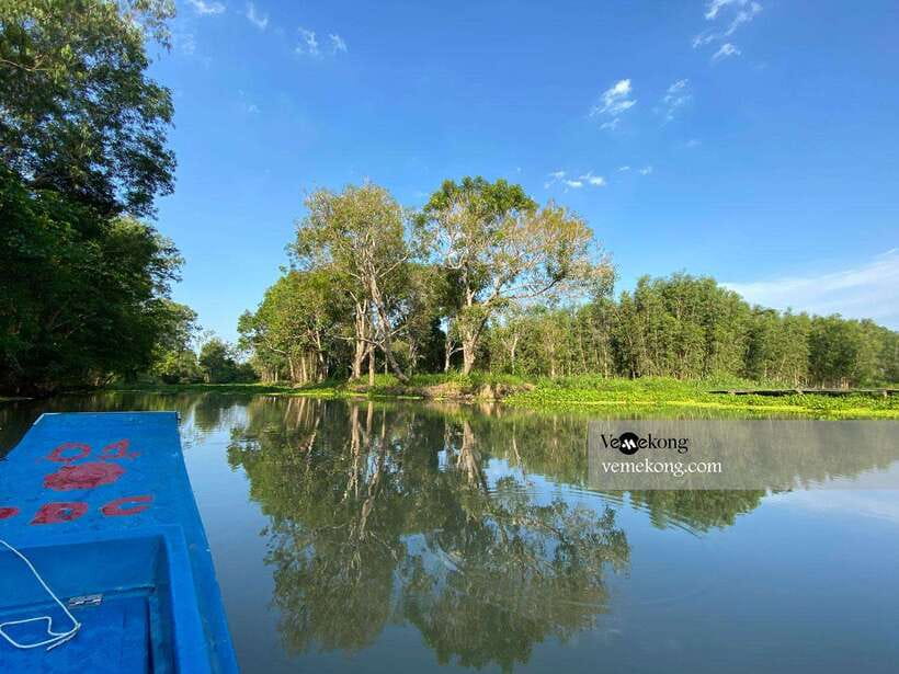 Can Tho: Lung Ngoc Hoang Nature Reserve & Forest Tour - Walking the pancake paths
