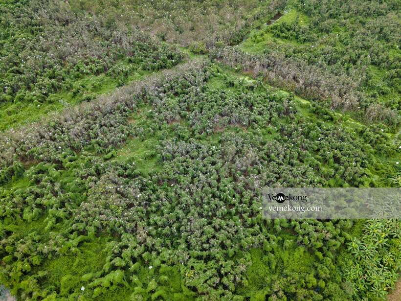 Can Tho: Lung Ngoc Hoang Nature Reserve & Forest Tour - What the guides add
