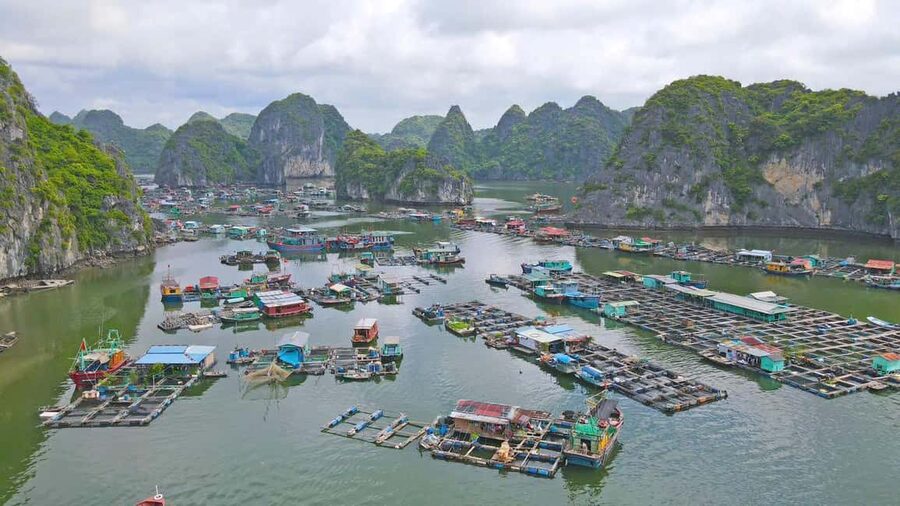 Cat Ba/Ha Noi: Lan Ha and Monkey Island Full Day Boat Trip - Monkey Island adds a short but demanding finish