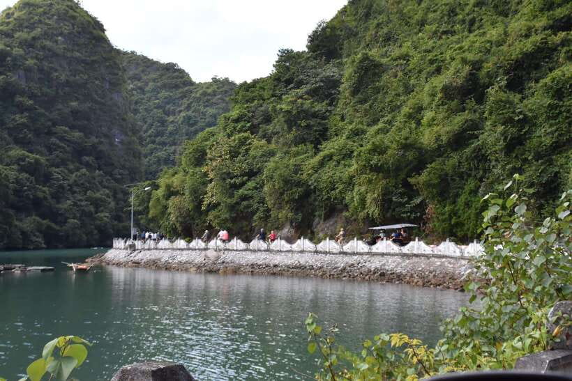Cat Ba: Lan Ha, HaLong bay full day- biking, kayaking, lunch - Sunset tea and the ride back