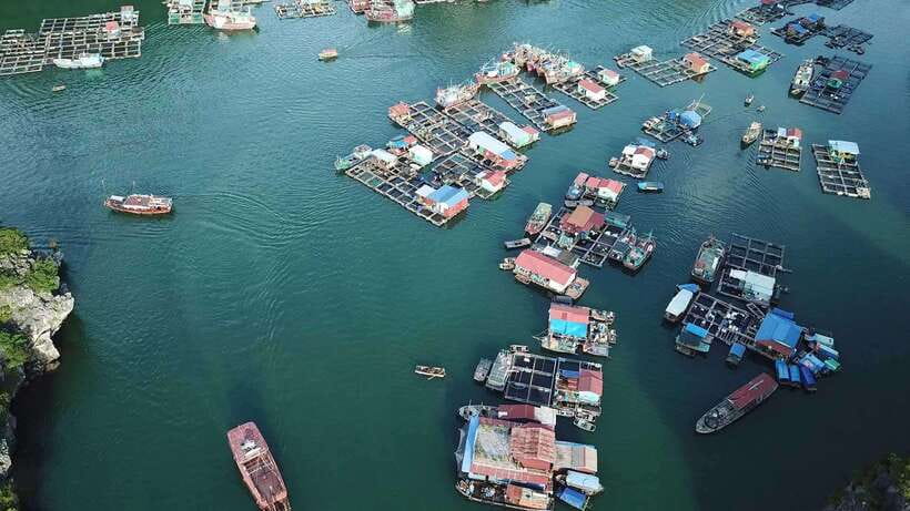 Cat Ba: Sunset on Lan Ha Bay with Sunset Party - Environmental concerns around a busy bay