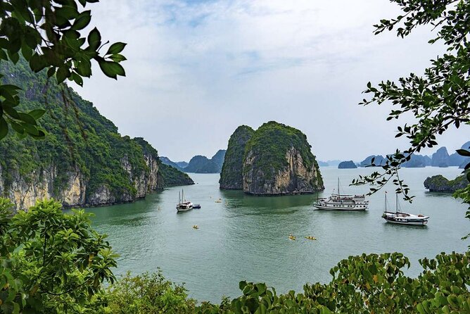 Catherine Cruise 2 Days/1 Night with 6 Star Cruise - Who Will Enjoy Catherine Cruise Most