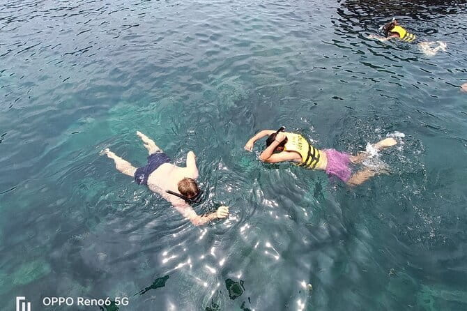 Cham Island: Snorkeling Tour - Guide, group size, and the pace of the day