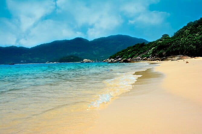 Cham Island: Snorkeling Tour - Who should book this Cham Island outing?