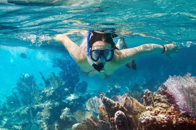 Cham Island Tour Snorkeling -Sunbathing - Nice Beach - Speedboat - Morning Pickup and the Ride to Cua Dai Harbor