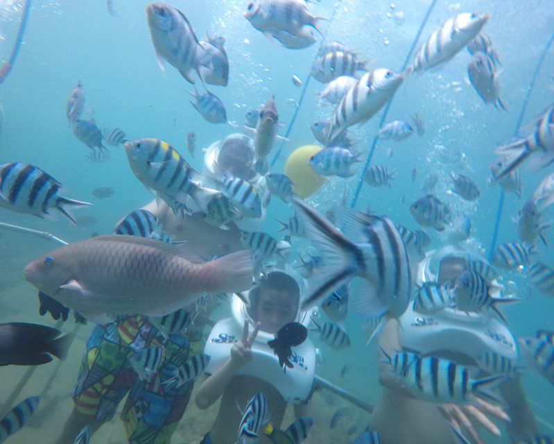 Cham Island: Underwater Walking & Snorkeling Tour - Snorkeling among Cham Island’s coral