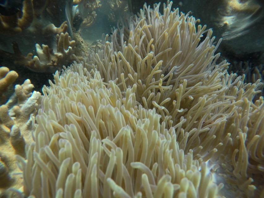 Cham Island: Underwater Walking & Snorkeling Tour - Lunch and downtime at Bai Chong Beach