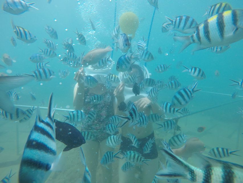 Cham Island: Underwater Walking & Snorkeling Tour - Getting ready for the underwater walk