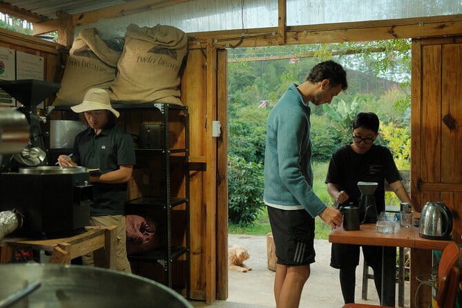 Coffee Farm Tour with Roasting & Tasting Workshop - Da Lat - Following Processing From Fruit to Green Bean
